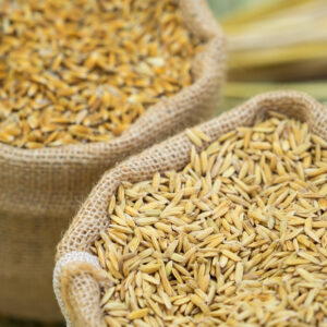 Thai rice exports for 8 months, up 46.8%, expected in September 2022 to deliver 700,000 tons