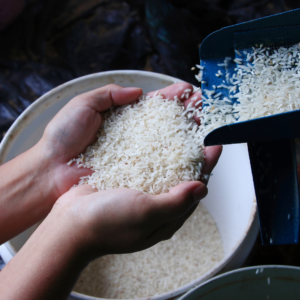 Krungthai COMPASS expects Thai rice exports to be bustling in 2023, but there are still challenging factors ahead.