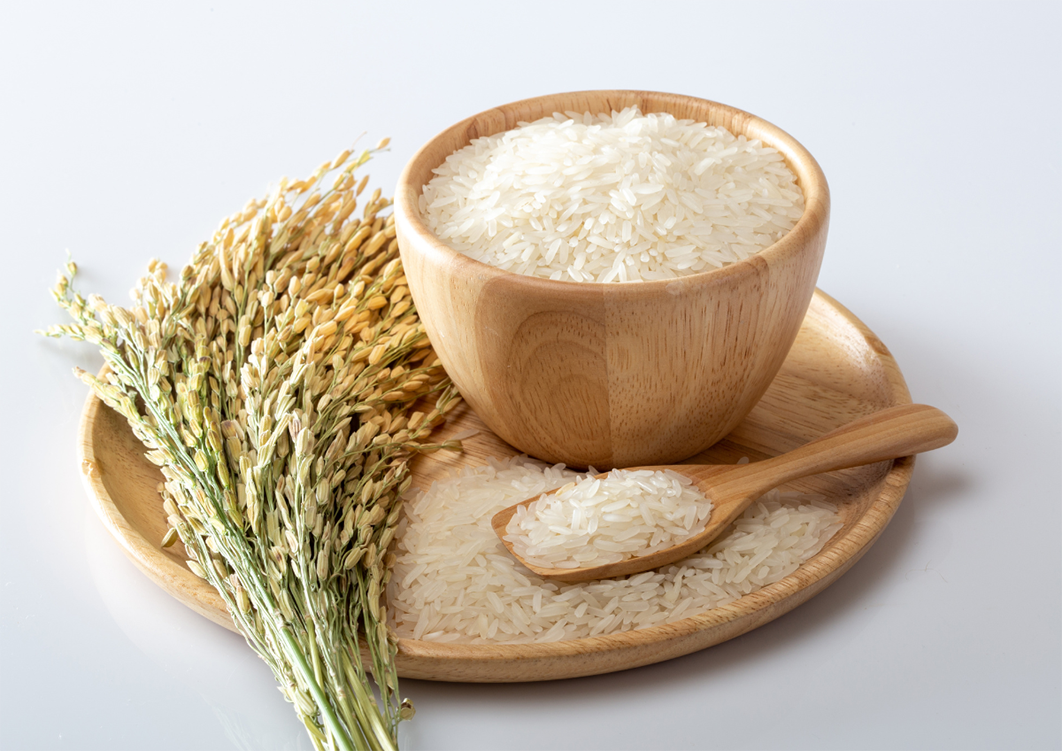 rice-22 - Thai Rice Exporter Top Quality Rice - Thai Jasmine Rice and Others