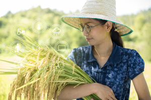 Young woman in a straw hat holding rice stalks in a field, with glowing tech icons representing agriculture and climate data.